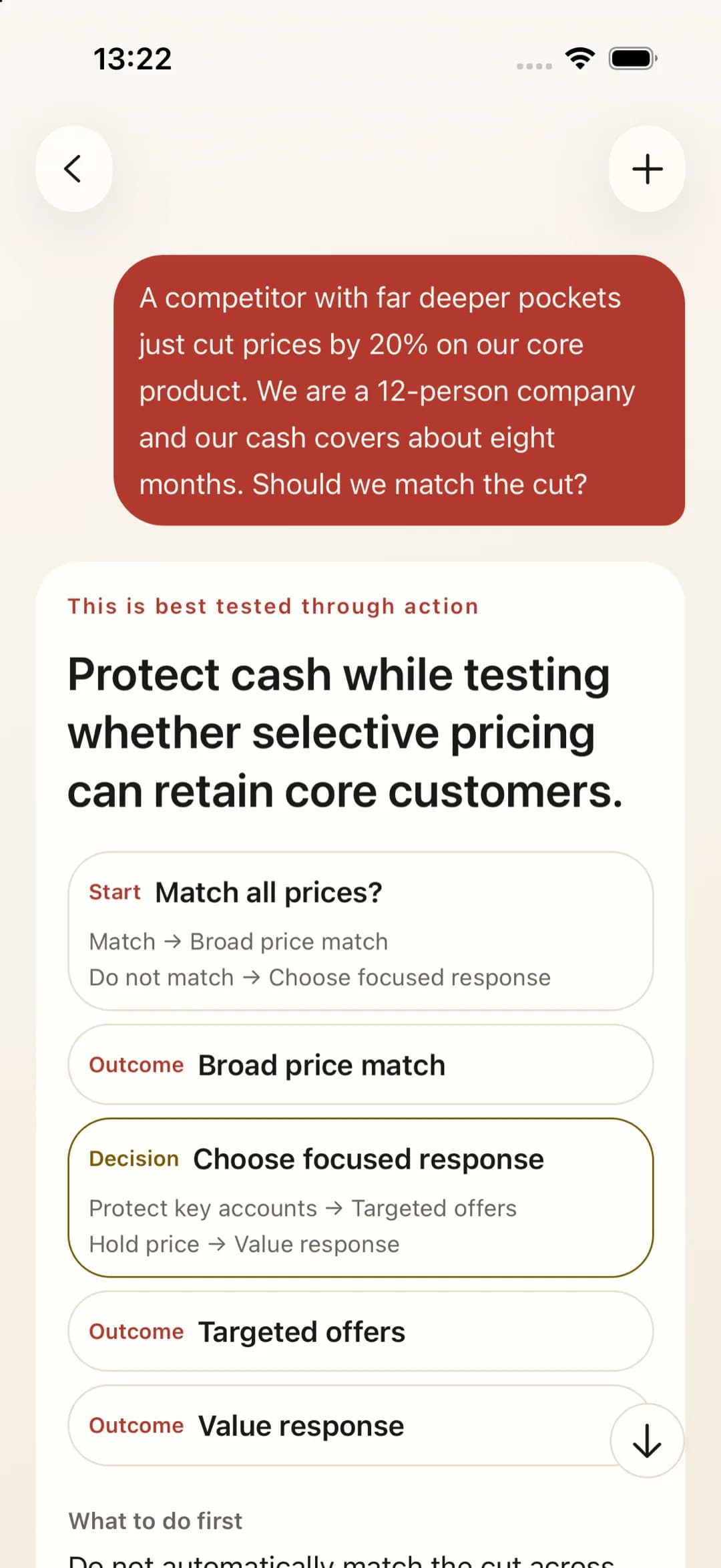 The strategist asks about your situation first, then gives a judgement and what to do first